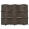 6 Panel Folding Weave Fiber Room Divider with 2 Display Shelves